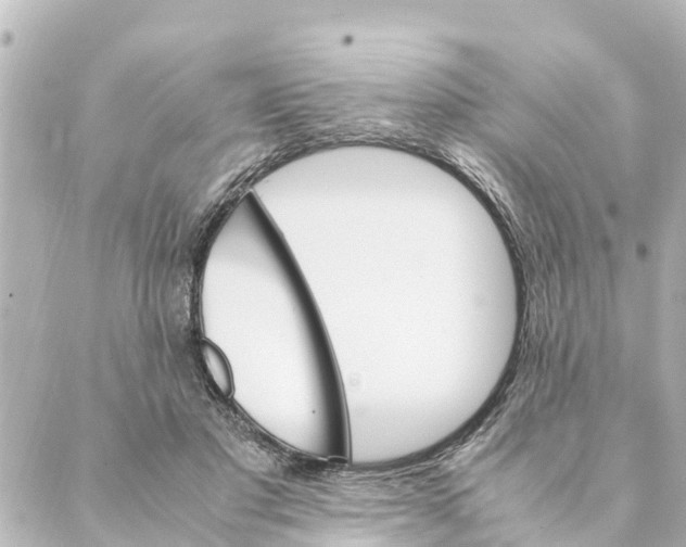 X0000088620501200706221459