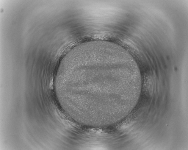 X0000088620502200706221459