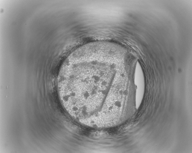 X0000088620503200706221459