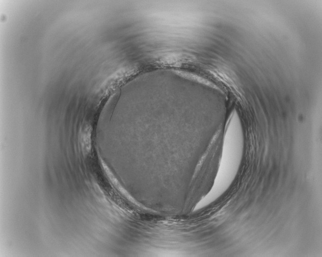 X0000088620504200706221459