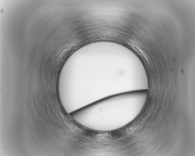 X0000088620505200706221459