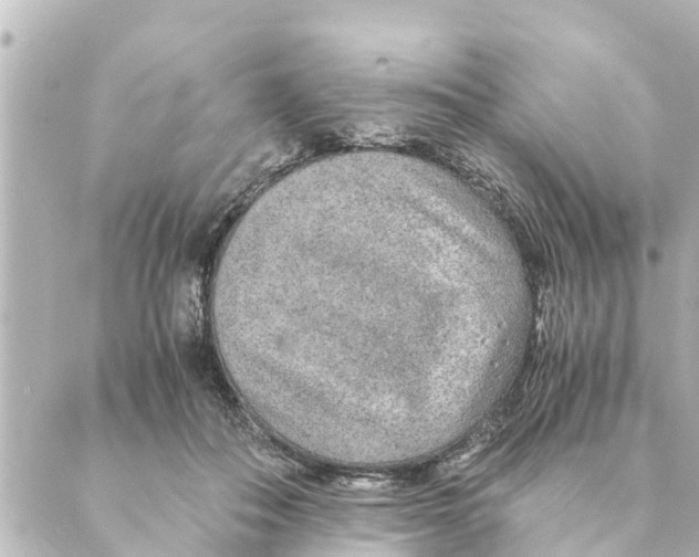 X0000088620506200706221459