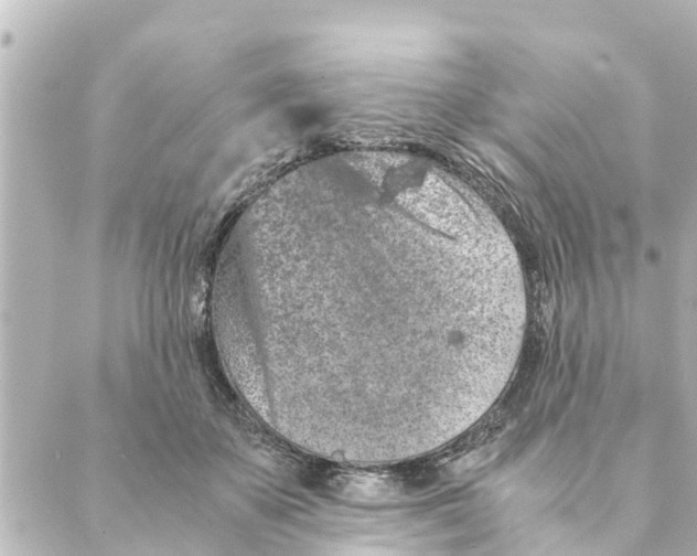 X0000088620507200706221459