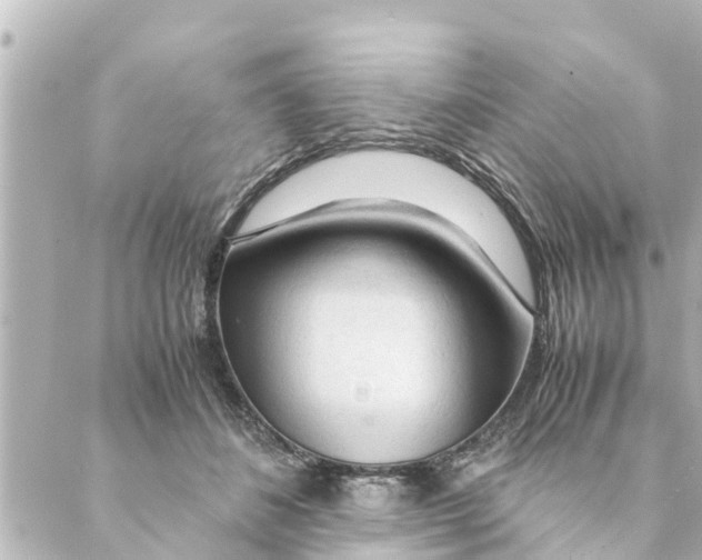 X0000088620508200706221459