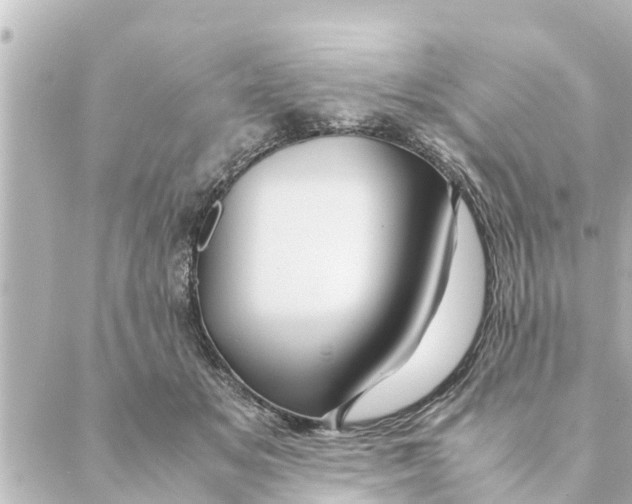 X0000088620509200706221459