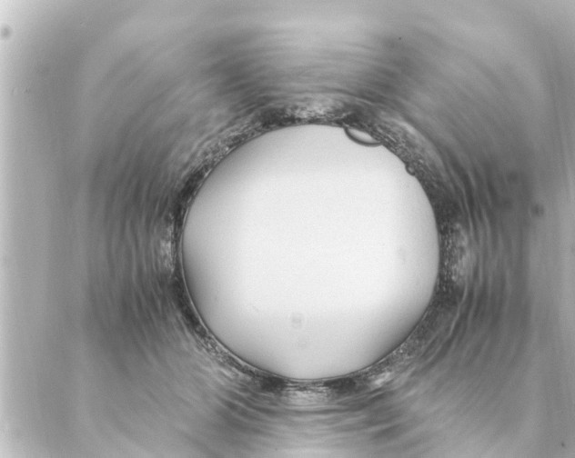 X0000088620510200706221459