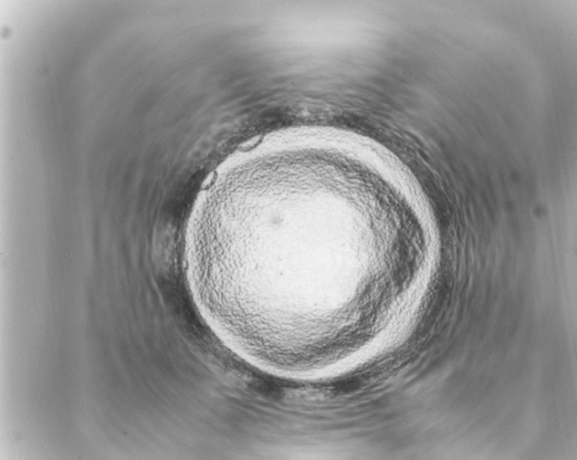 X0000088620511200706221459