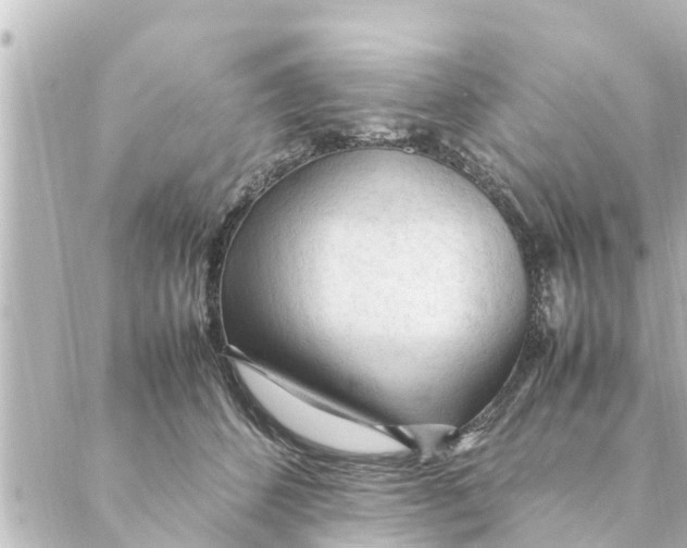 X0000088620512200706221459