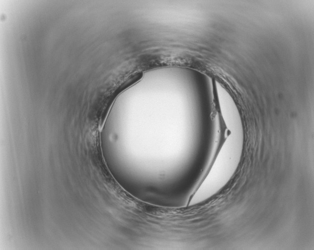 X0000088620513200706221459