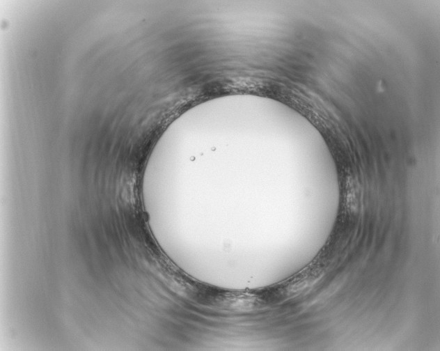 X0000088620514200706221459