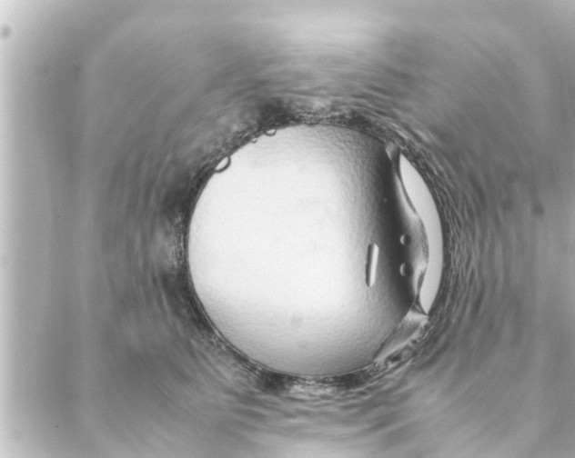 X0000088620515200706221459