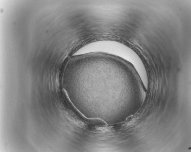 X0000088620516200706221459