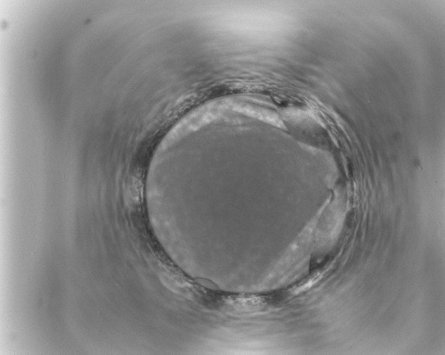 X0000088620517200706221459