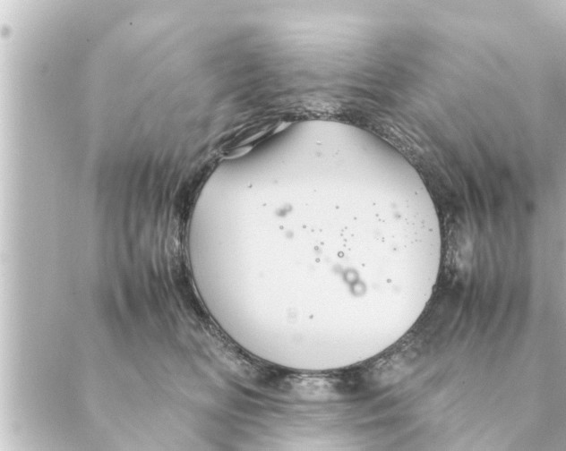 X0000088620518200706221459