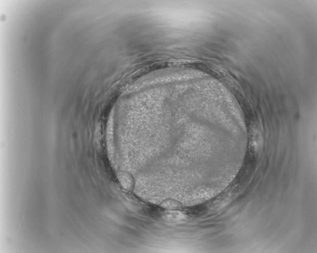 X0000088620519200706221459