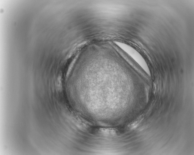 X0000088620520200706221459