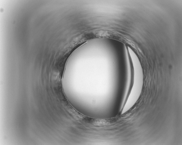 X0000088620521200706221459