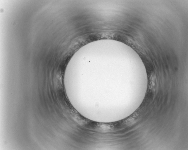 X0000088620522200706221459