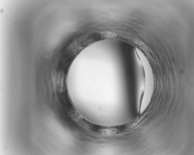 X0000088620525200706221458