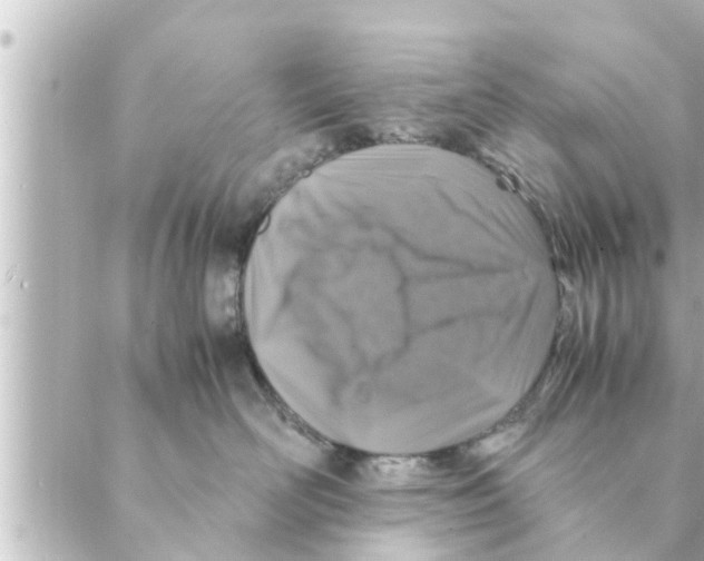 X0000088620526200706221458