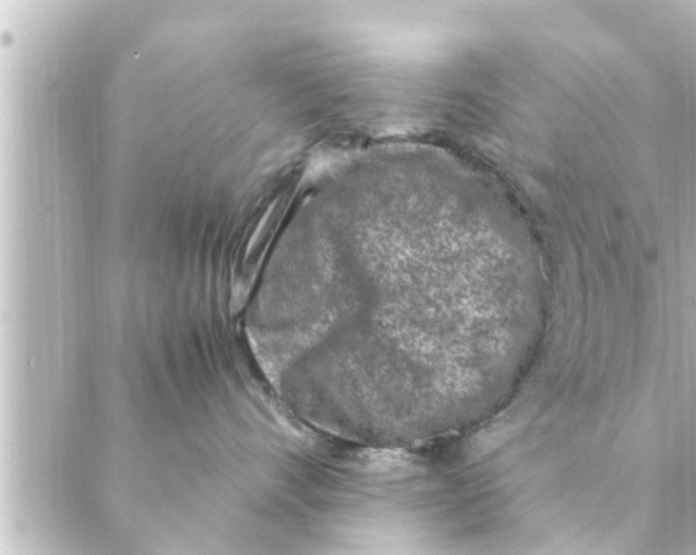 X0000088620528200706221458