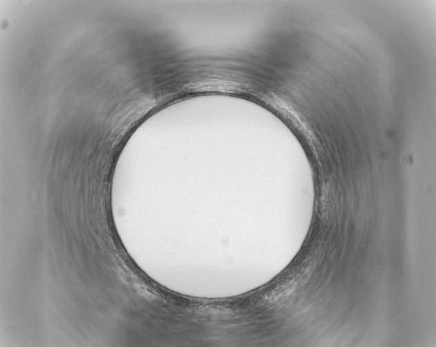 X0000088620529200706221458