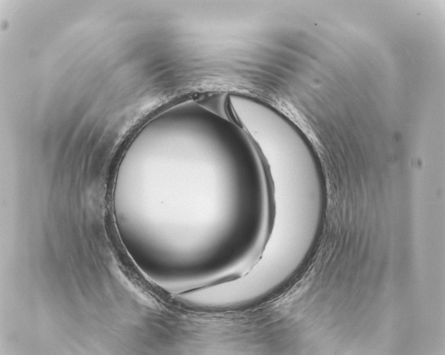 X0000088620530200706221458