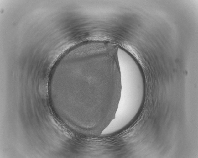 X0000088620531200706221458