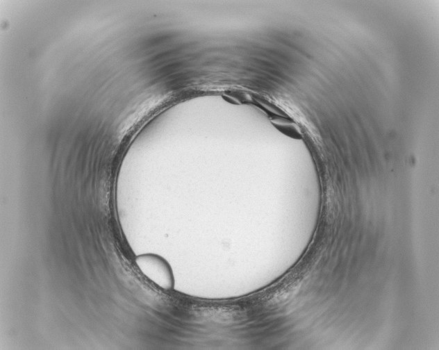 X0000088620533200706221458