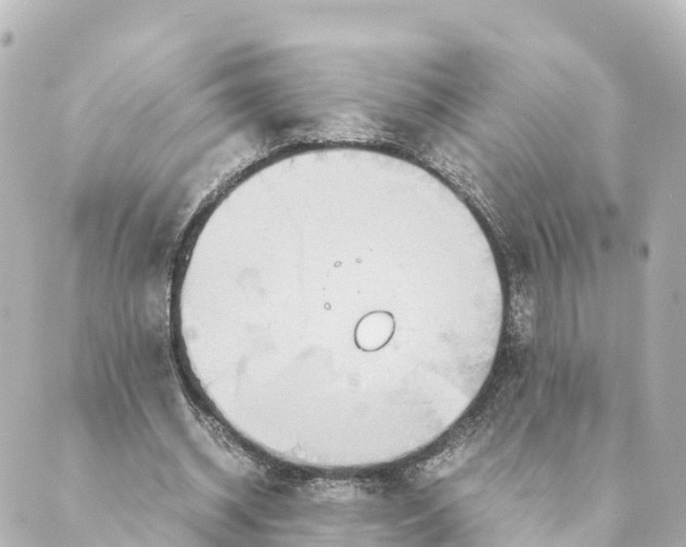 X0000088620534200706221458