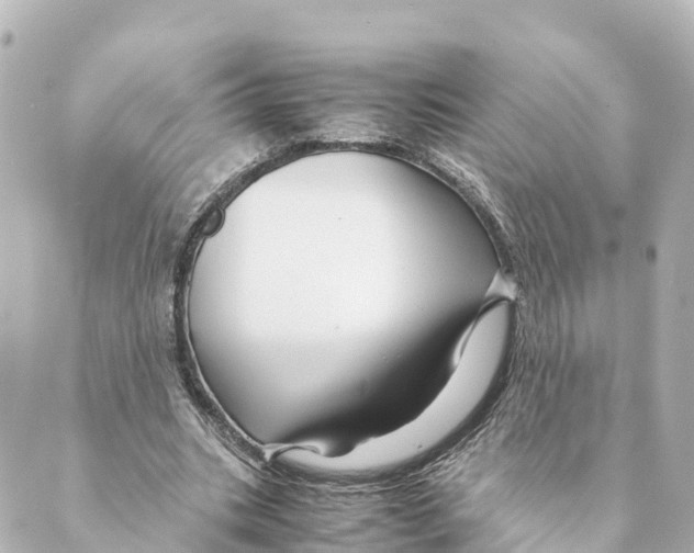 X0000088620535200706221458