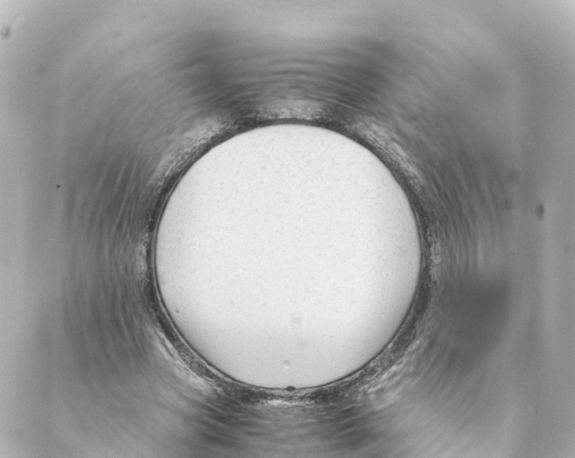 X0000088620537200706221458