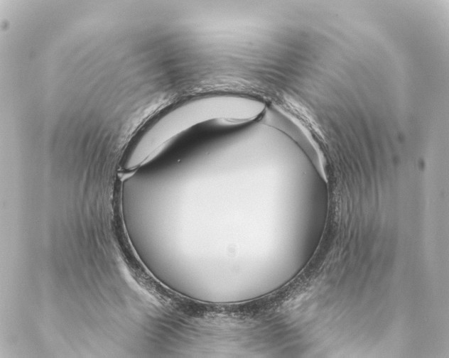 X0000088620538200706221458