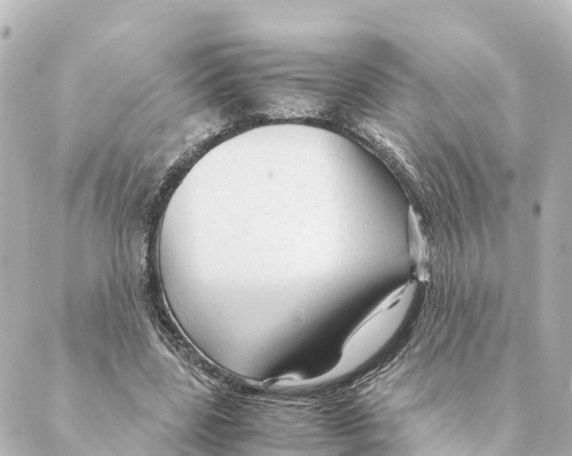 X0000088620539200706221458