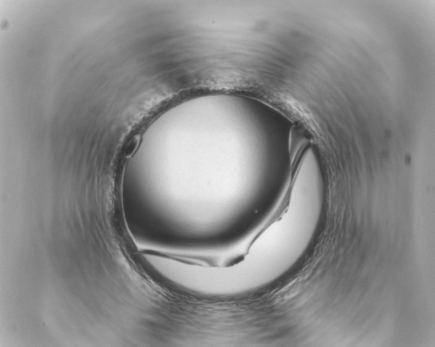 X0000088620540200706221458