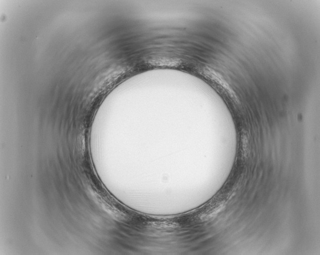 X0000088620541200706221458