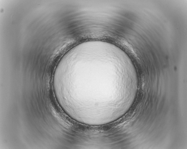 X0000088620542200706221458