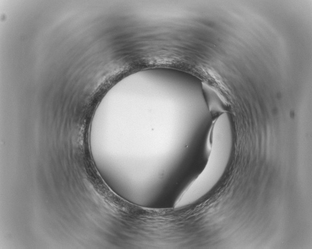 X0000088620543200706221458