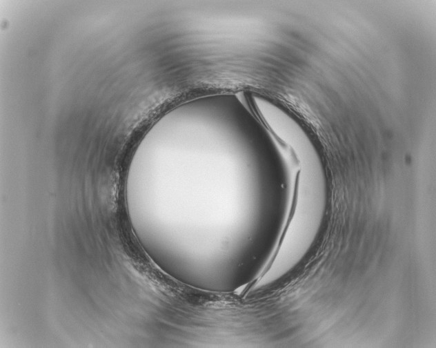 X0000088620544200706221458