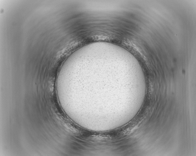 X0000088620545200706221458