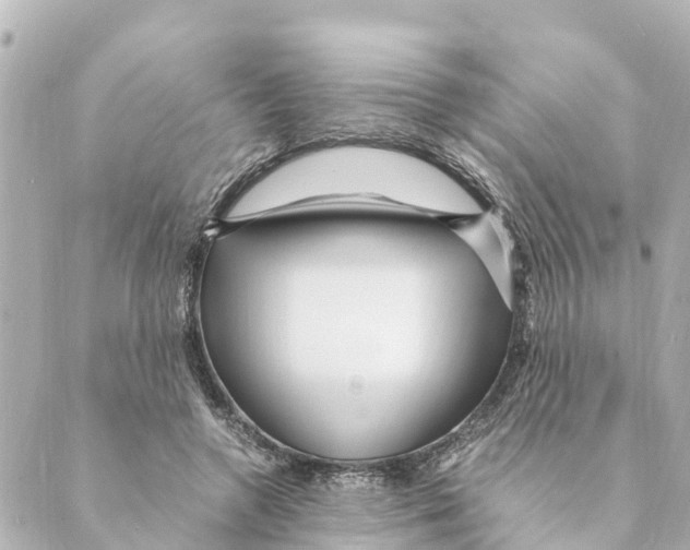 X0000088620546200706221458