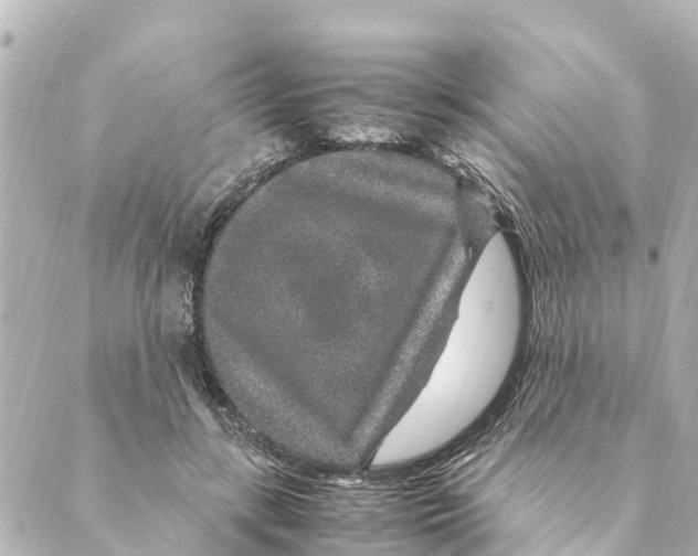 X0000088620547200706221458