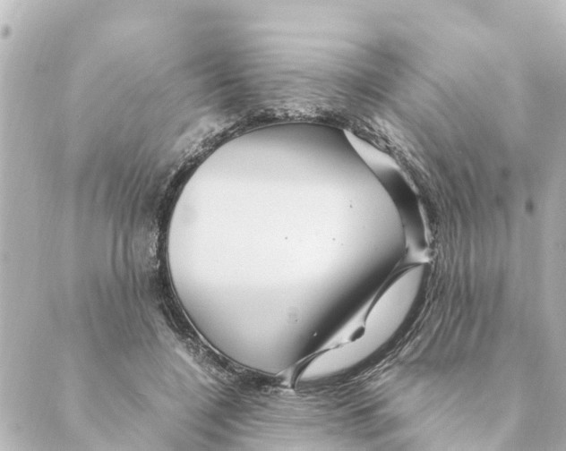 X0000088620548200706221458