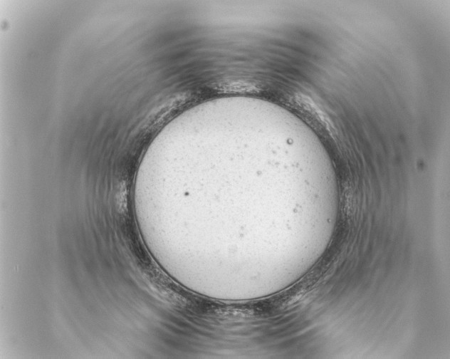 X0000088620549200706221458