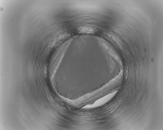 X0000088620551200706221458