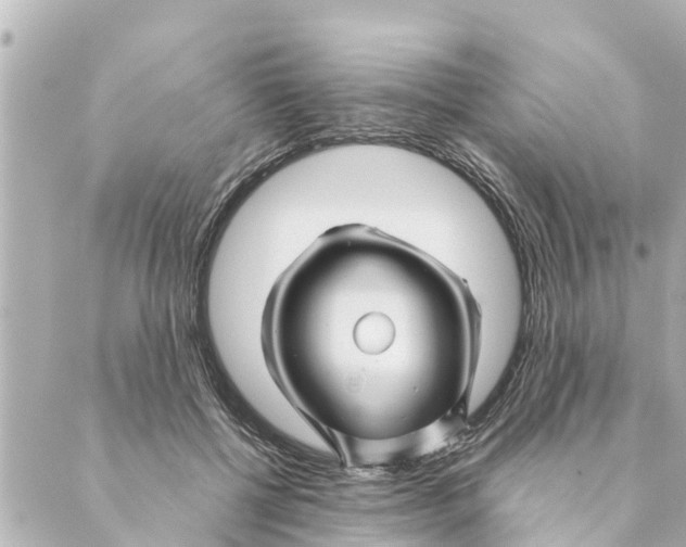 X0000088620552200706221458