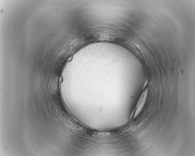 X0000088620554200706221458