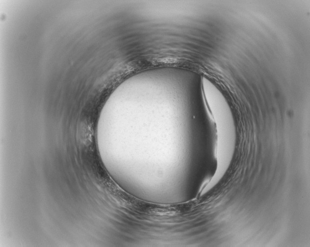 X0000088620555200706221458