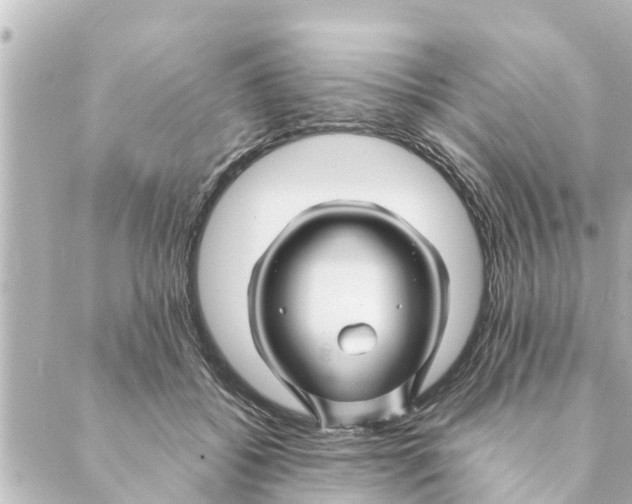 X0000088620556200706221458