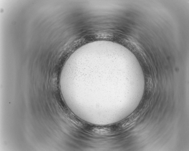 X0000088620557200706221458